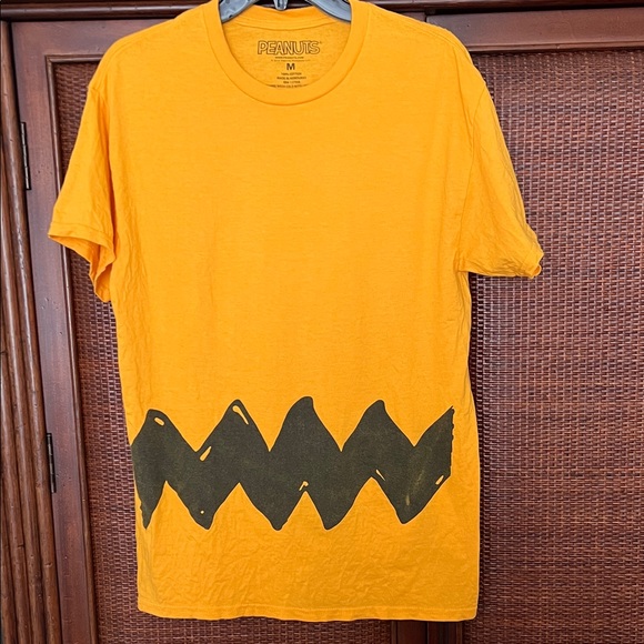 Peanuts Charlie Brown Tee - Picture 1 of 3